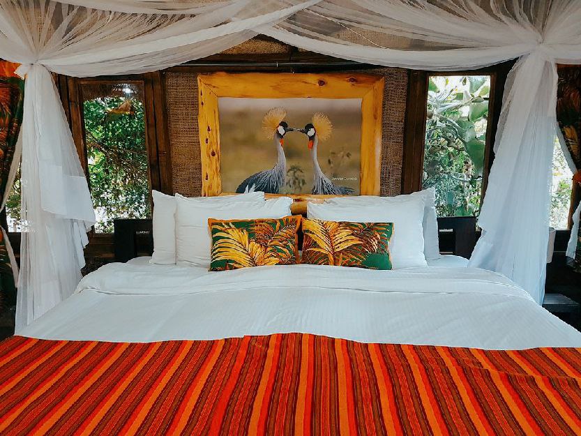 Charm Meets Wilderness Inside Swara Acacia Lodge