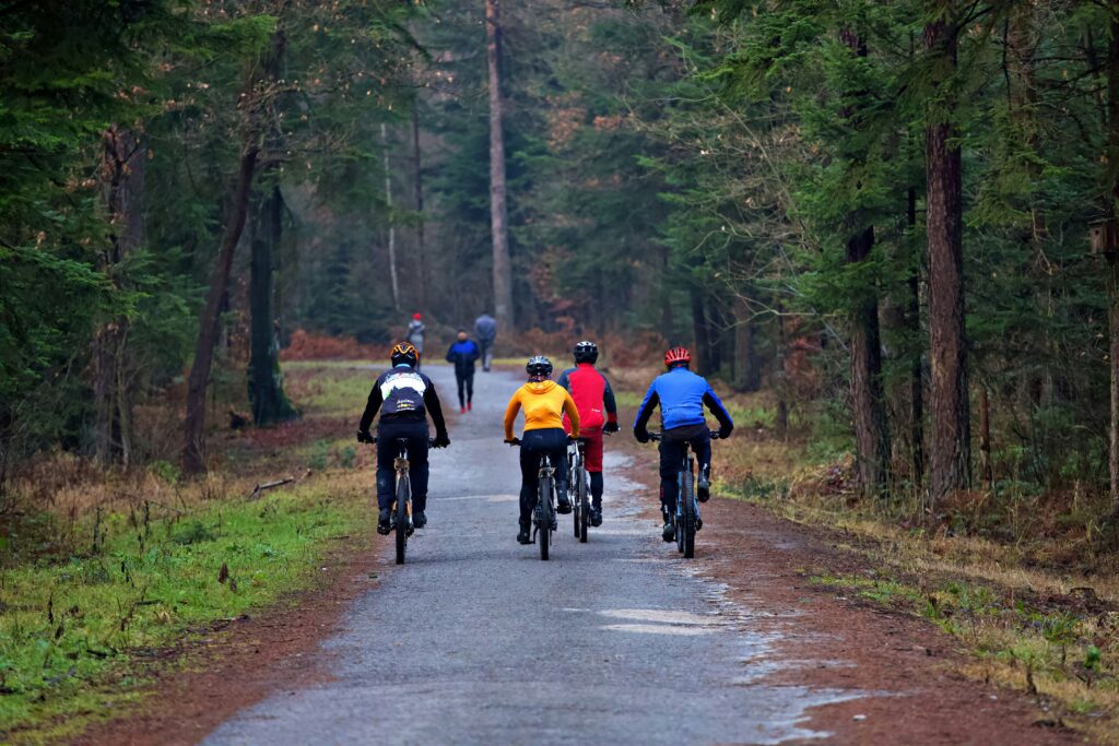 Cycling in Karura Forest