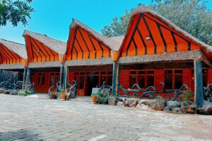 Dove Nest Lodge Naivasha: Prices and Activities