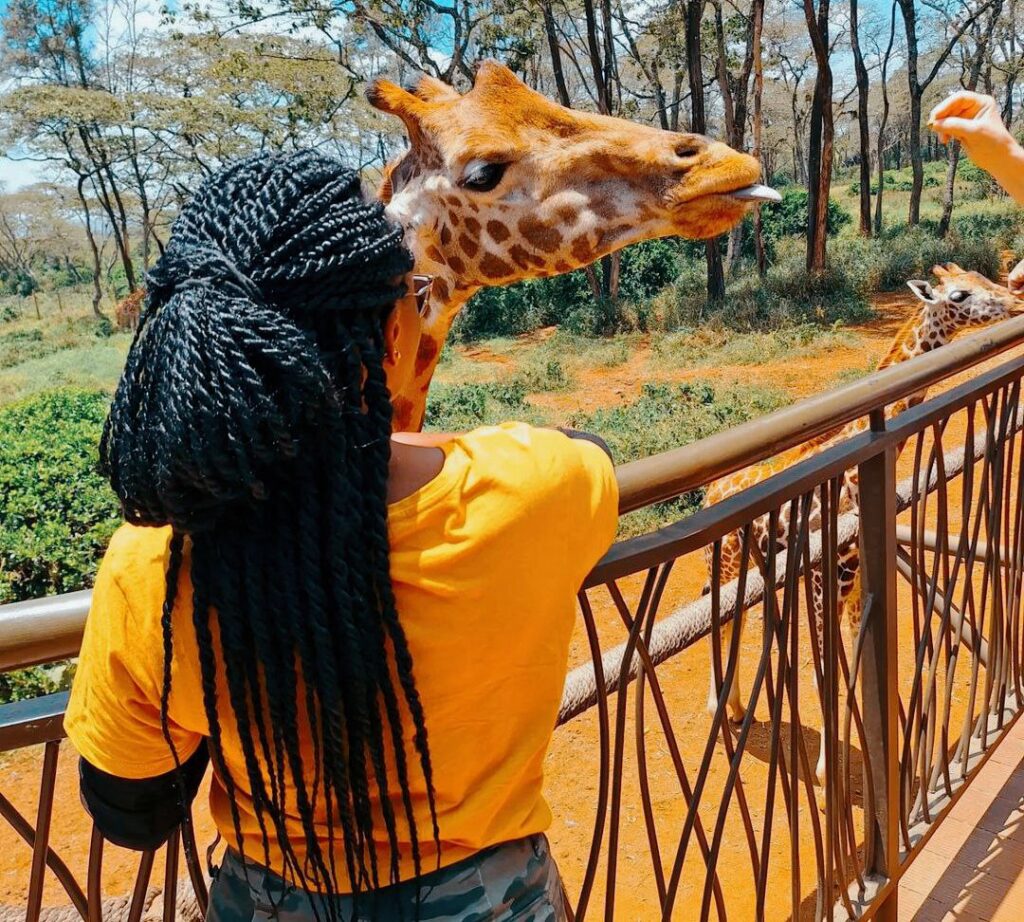 Giraffe Centre Nairobi Entrace fee and direction