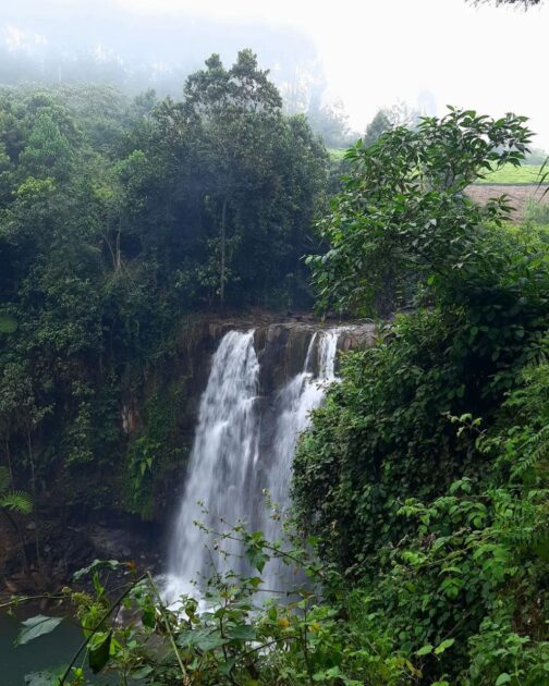 Kanunga Waterfalls green vegetation