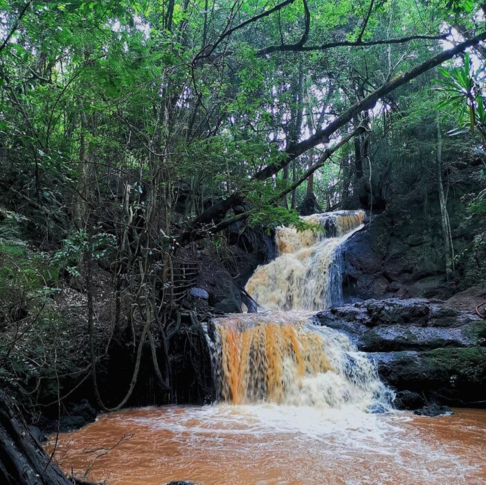 You are currently viewing Karura Forest: Cycling, Picnics, and Adventures in Nairobi