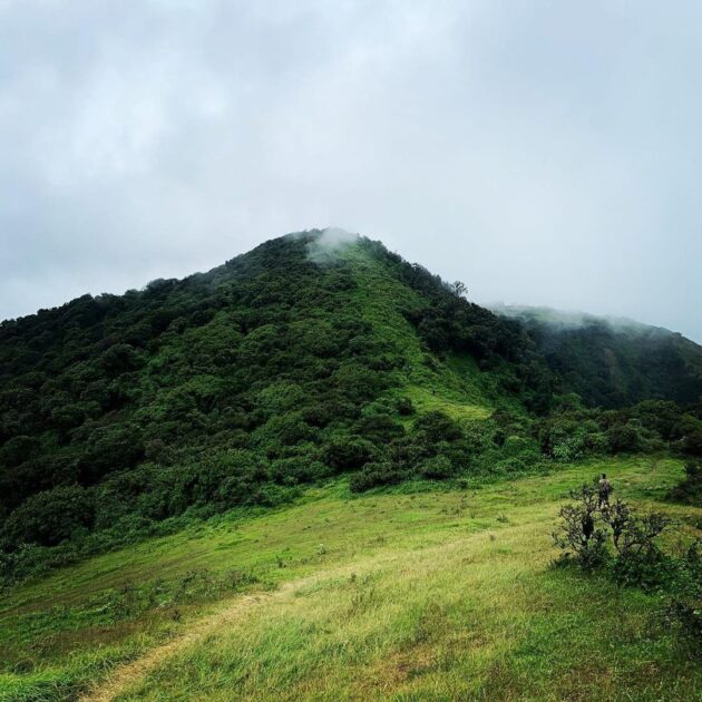 Kona Moja at Ngong