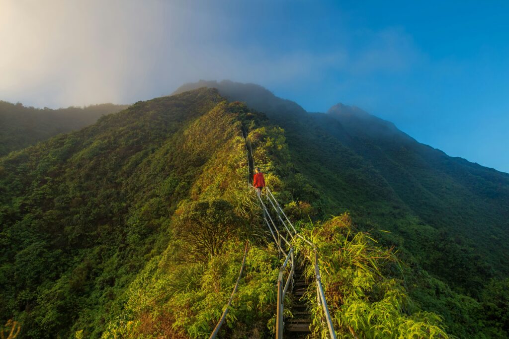 Mountain Hike at Kereita Forest Ziplining