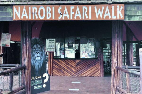 Nairobi Safari Walk: Kenya’s Wildlife Experience