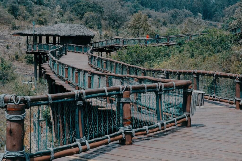 Nairobi Safari Walk foot path