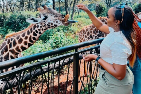 Nairobi’s Giraffe Centre: A Place for Giraffe Lovers