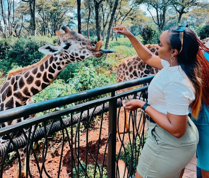 You are currently viewing Nairobi’s Giraffe Centre: A Place for Giraffe Lovers