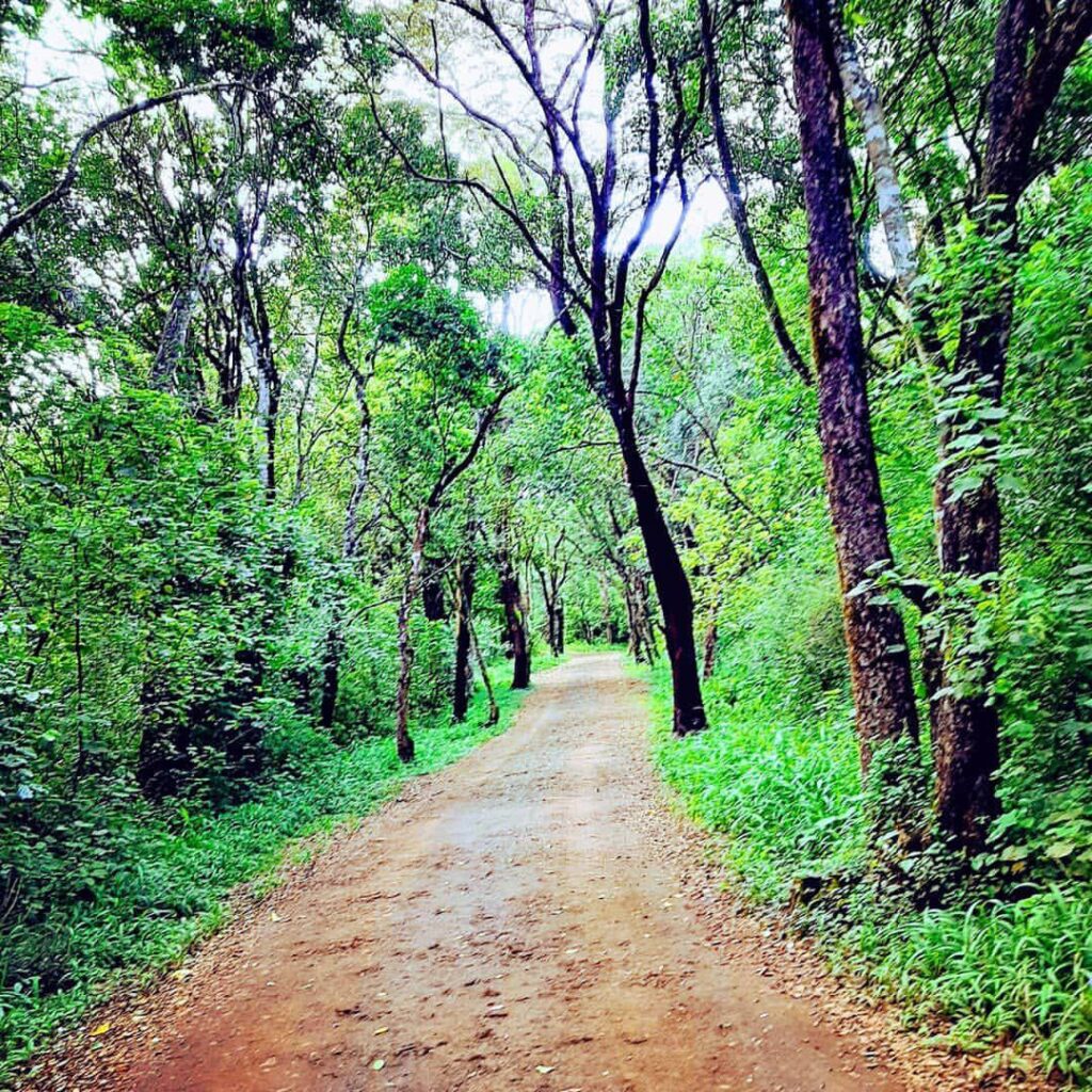 Nature Trail