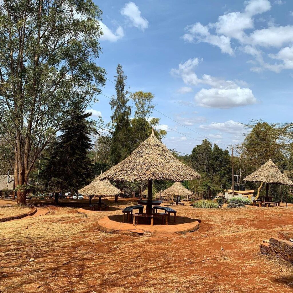 Picnic Scenery at Paradise lost Kiambu