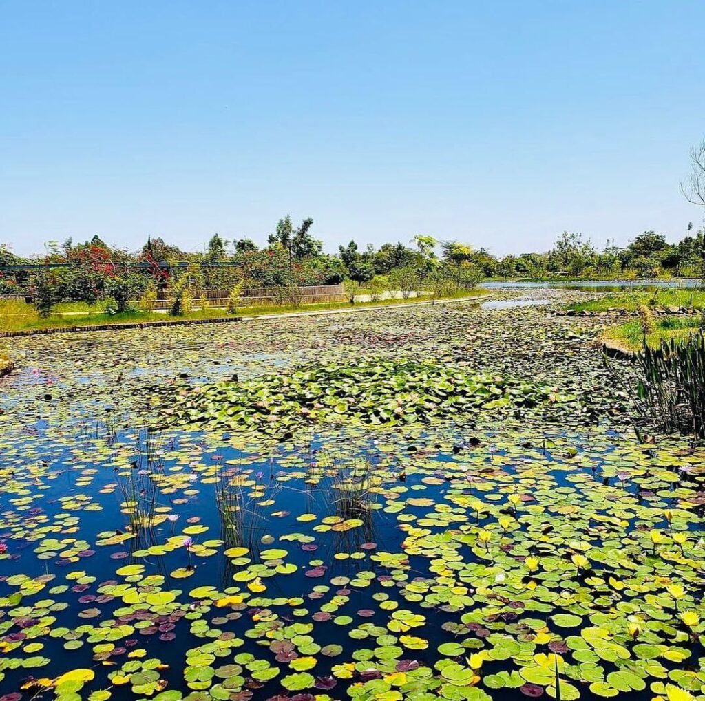 Sajorec Garden Juja nice view