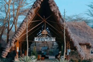 Swara Acacia Lodge: Experience Wildlife and Luxury