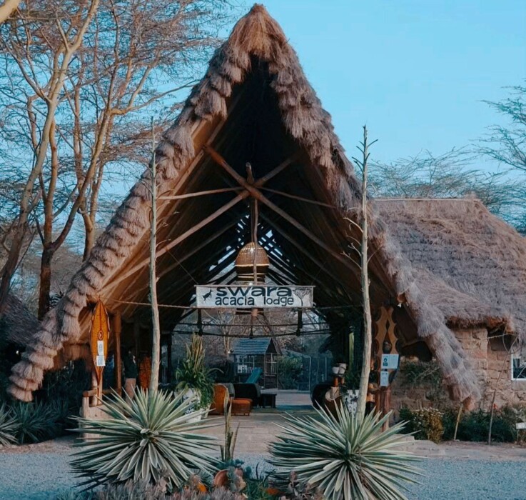 You are currently viewing Swara Acacia Lodge: Experience Wildlife and Luxury