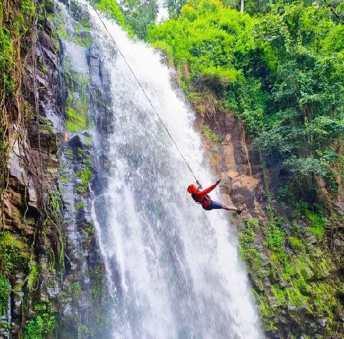 Wild swinging at Njine Kabia Falls Kirinyaga