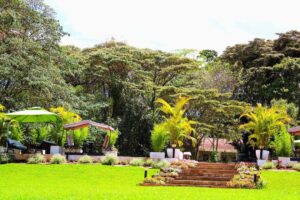 Entim Sidai: Ultimate Wellness Retreat in Karen