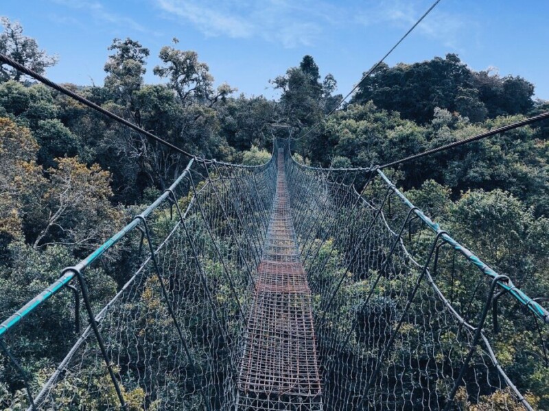 Canopy Walk and Waterfalls Ngare Ndare Forest