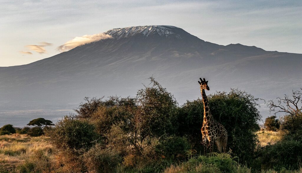 Clear view of Mt. Kilimanjaro