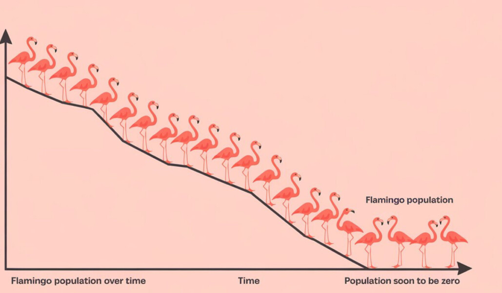 Flamingo in lake Nakuru decline graph