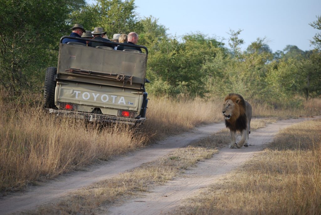 Game Drive at Amboseli National Park