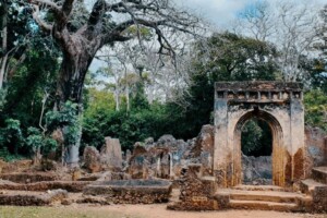 Gedi Ruins: What Did Archaeologists Find That Shocked the World