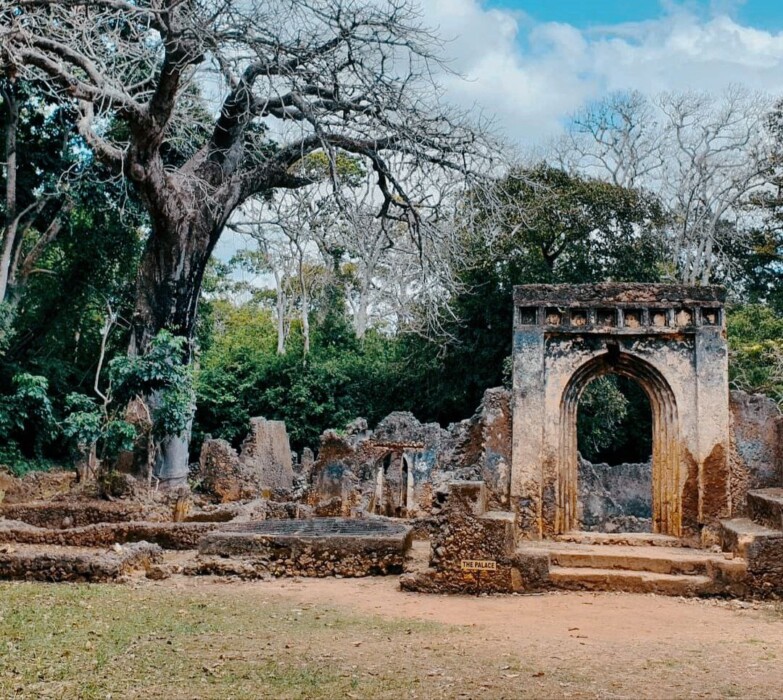 You are currently viewing Gedi Ruins: What Did Archaeologists Find That Shocked the World