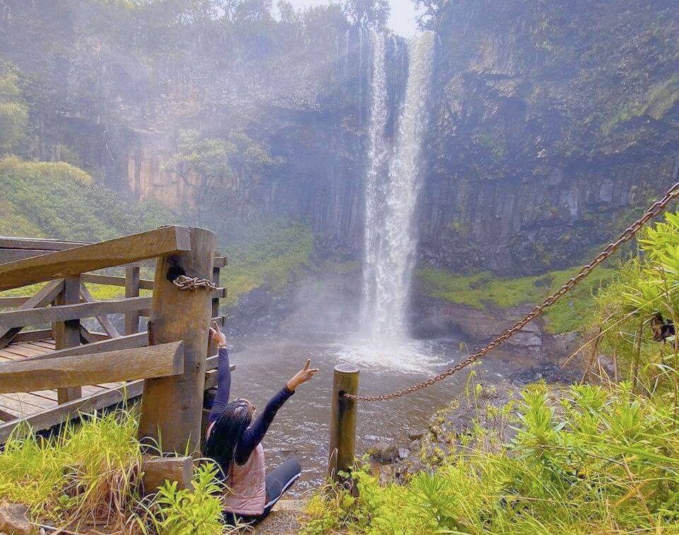 Magic of The Ark Lodge Nyeri in Aberdare National Park