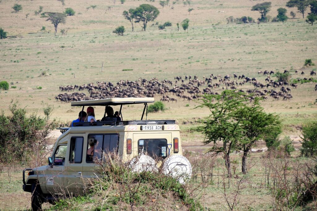 Nairobi National Park game drive