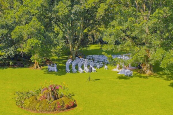 Naishola Gardens Limuru: Perfect for Weddings and Picnics