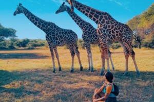 Top 7 Activities at Nguuni Nature Sanctuary, Bamburi