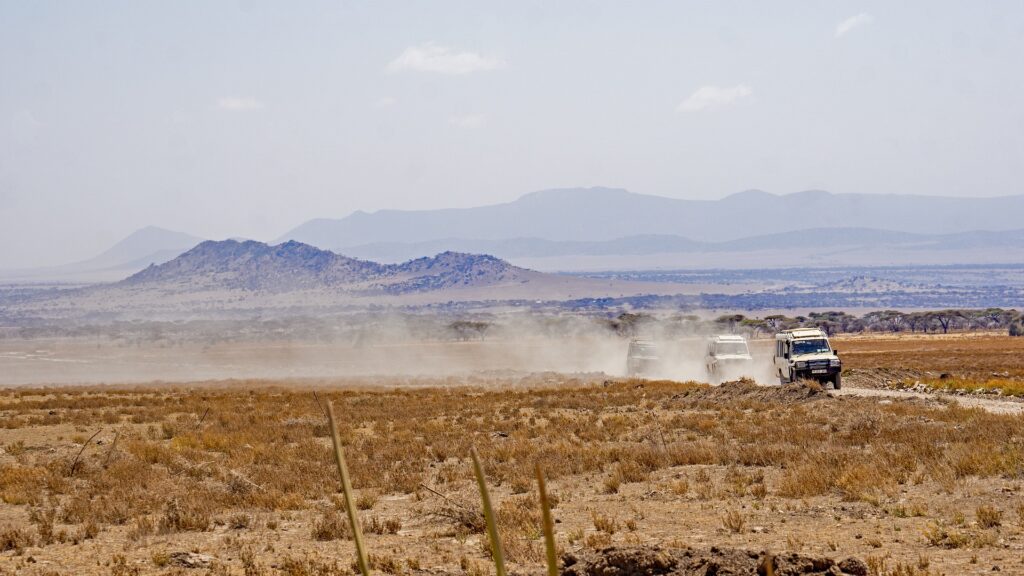 Serengeti National Park Game Drive