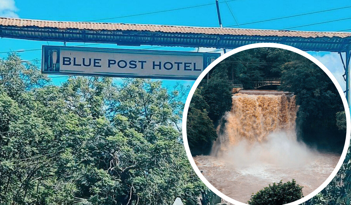 You are currently viewing Chania Falls and the Best of Blue Post Hotel Activities