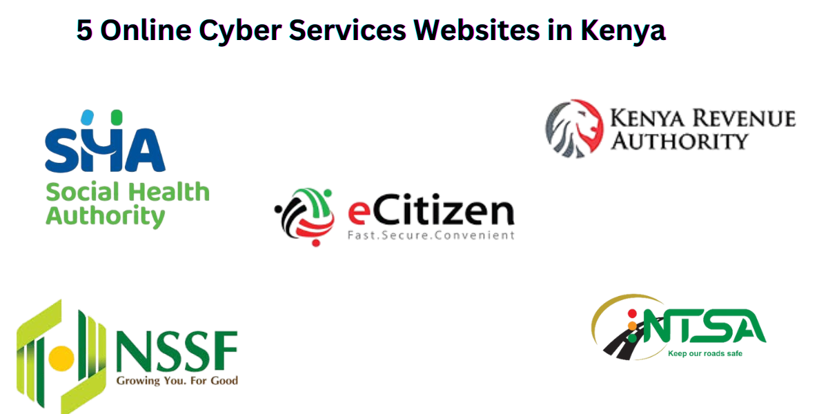 You are currently viewing Top 5 Online Cyber Services Websites You Should Know